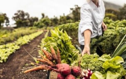 Rythmer la table sur vingt-quatre micro-saisons : la méthode pour réinventer sa carte avec ses maraîchers